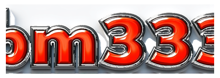 bm333 logo